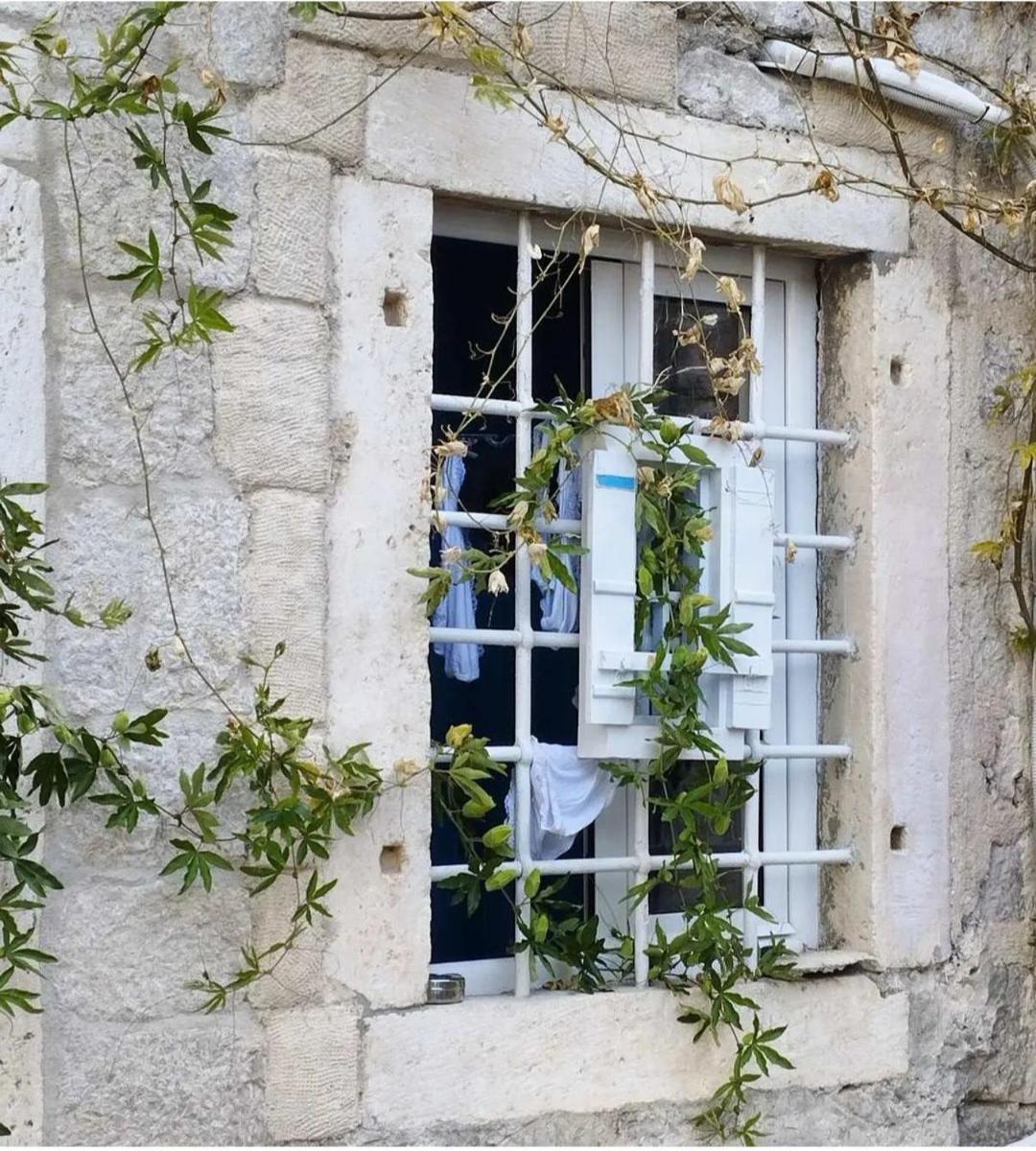 Apartments Visit Perast Exterior photo